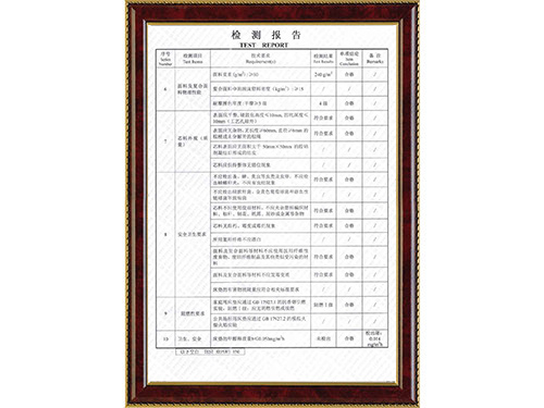检测报告